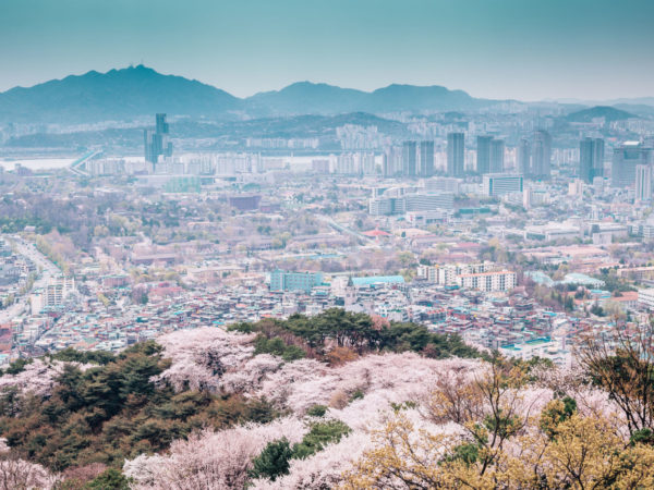 Featured Image spring-korea