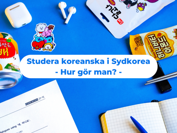 Studera koreanska i Sydkorea: hur gör man?