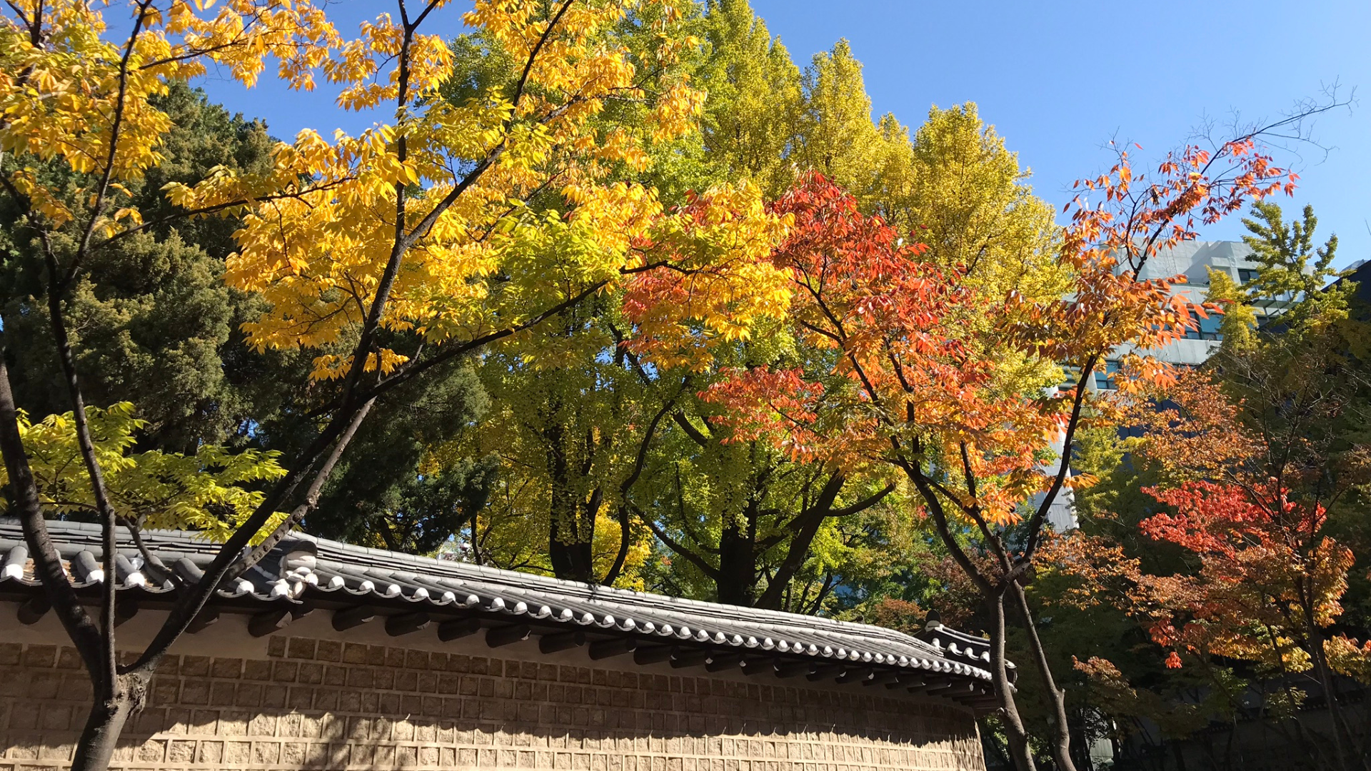5 best K-drama locations to visit in autumn