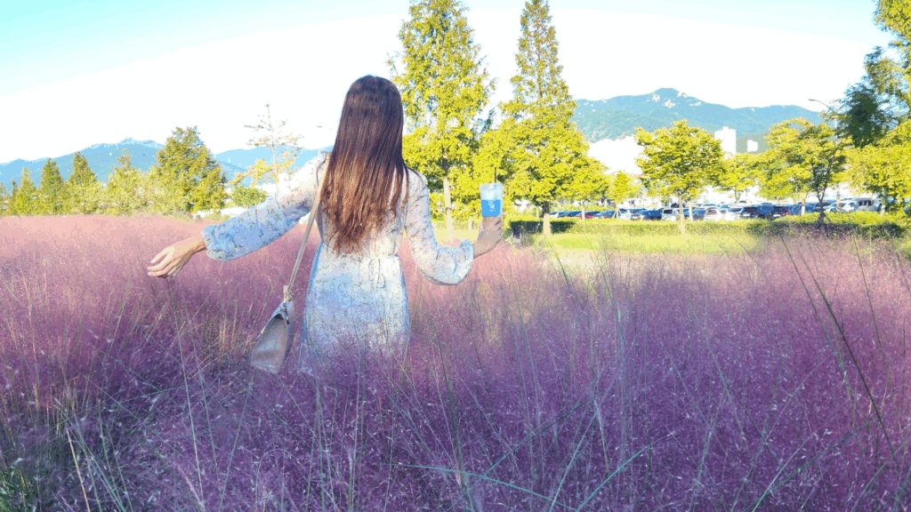 10 stunning pink muhly spots in Korea to visit in autumn