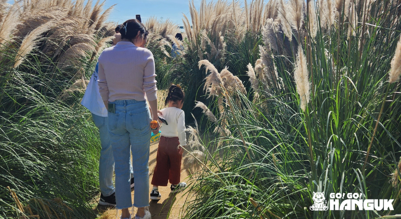 People walking around Daejeo ecological park