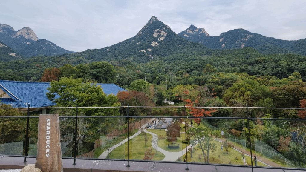 6 stunning Seoul cafes to see autumn foliage