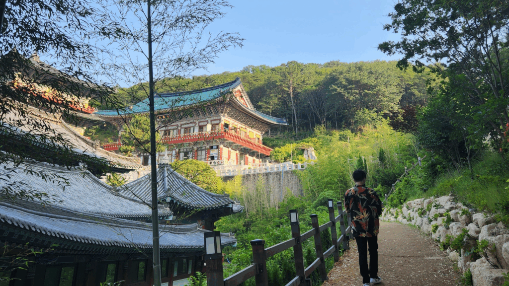 10 lieux enchanteurs pour admirer le feuillage d’automne à Busan