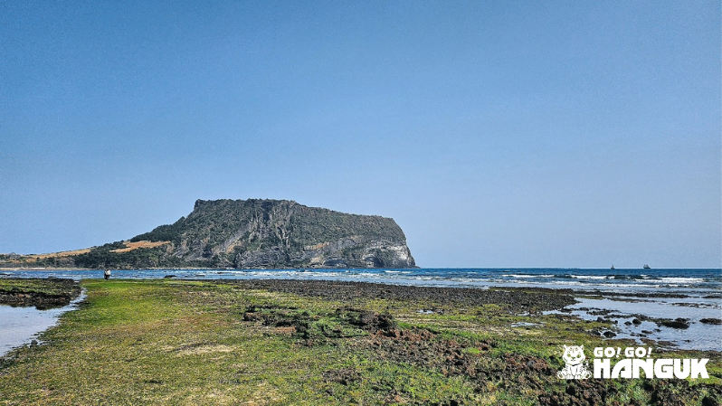 view of Jeju island