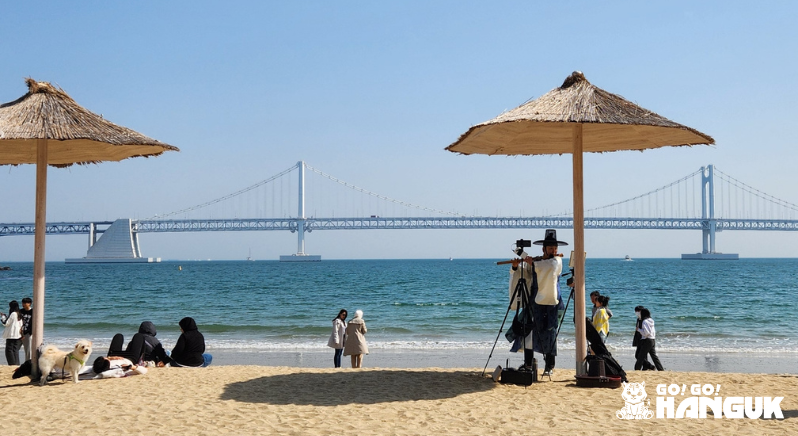 People on a beach with a bridge in the background