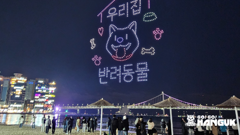 夜のビーチで、犬の絵とハングル文字を光で描くドローンショーを眺める人々